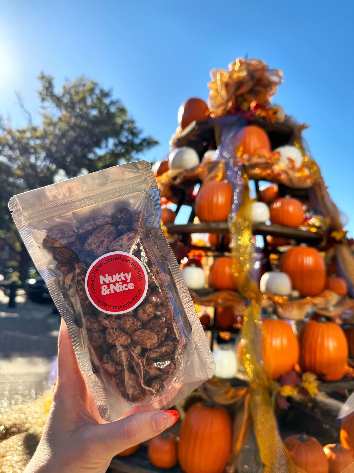 Pumpkin Spice Roasted Almonds and Pecans